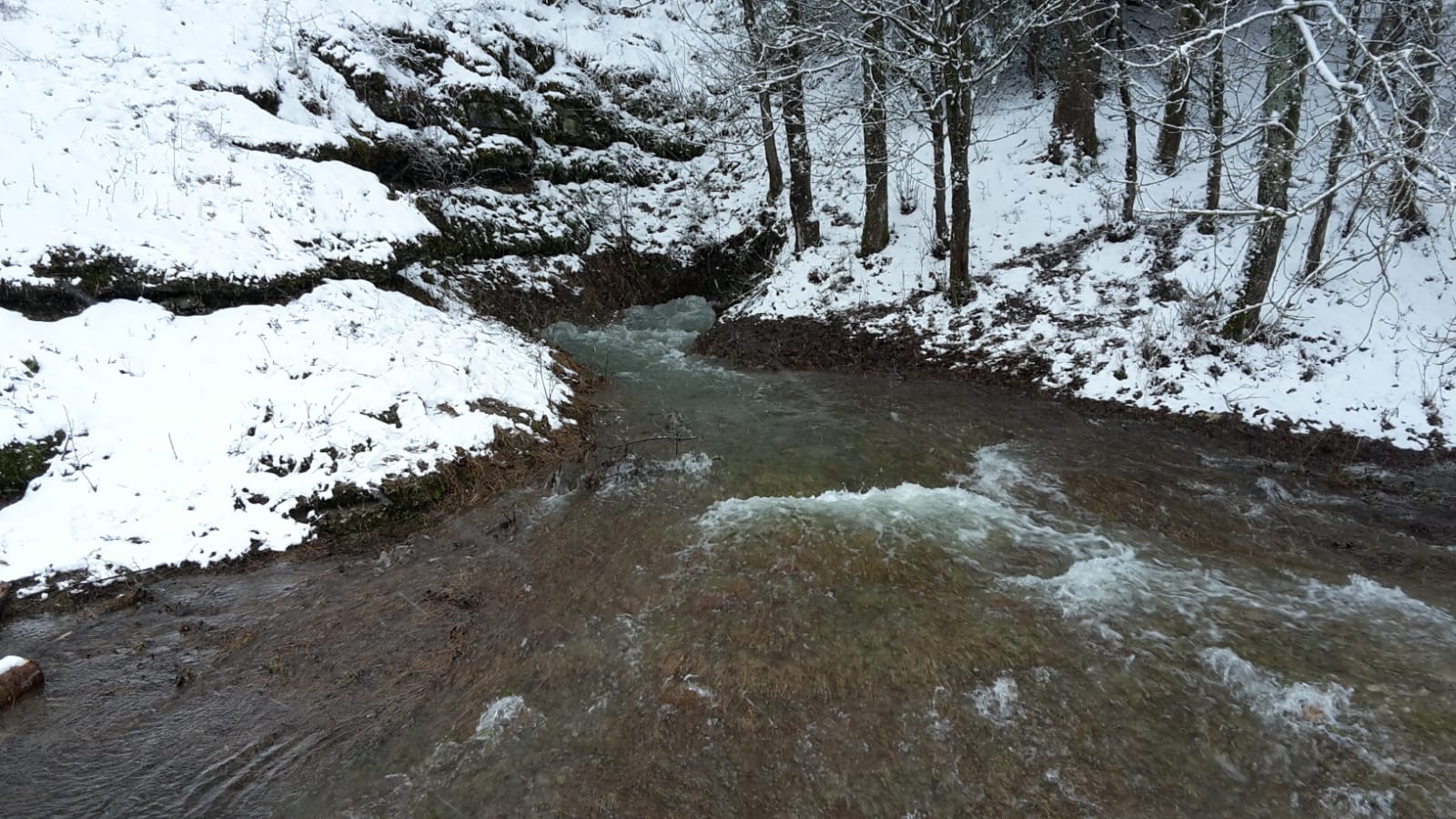 Der ´Kleine Tummler´ im Tal der Tummler oberhalb der Leinleiterquelle in der Nähe von Heiligenstadt (Bild: Mona Wagner)